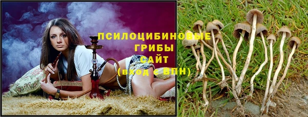 а пвп мука Елабуга